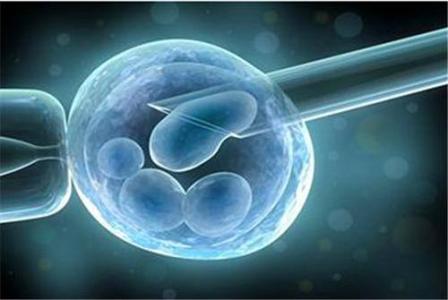 嘉兴双胞胎二代试管婴儿成功率:有卵巢囊肿可以做试管婴儿吗？