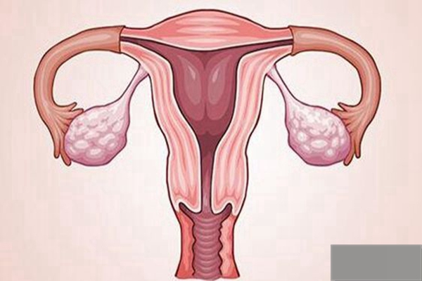 嘉兴借卵机构:子宫内膜薄的妇女可以做什么？妇女可以做些什么来改善她们的子宫内膜？