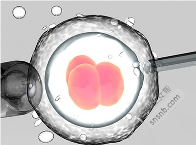 为什么在试管婴儿胚胎移植成功后，我需要服用避孕药？