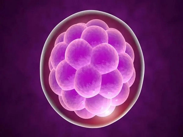 北京哪个医院能做供卵试管不排：B型试管婴儿胚胎的质量如何？A、B、C和D型的对照表。