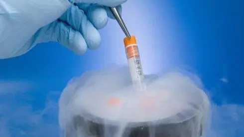试管婴儿的缺陷：在体外移植前可以注射免疫球蛋白吗？随着周期内免疫球蛋白注射的作用。