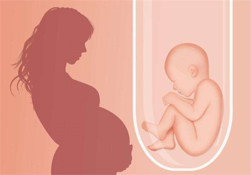 临沂供卵助孕中介：四川9家试管婴儿机构概览! 拥有3家推荐医院，捐卵成功率高。