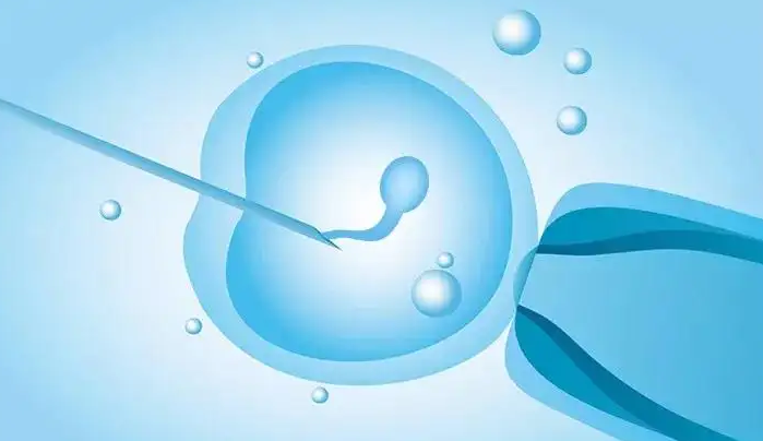 南昌借卵试管助孕：2023年江西借卵试管婴儿移植的成功率高吗？