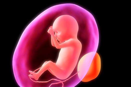 保定助孕宝宝选性别：如何在怀孕期间确定宝宝的性别